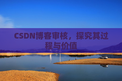 CSDN博客审核，探究其过程与价值